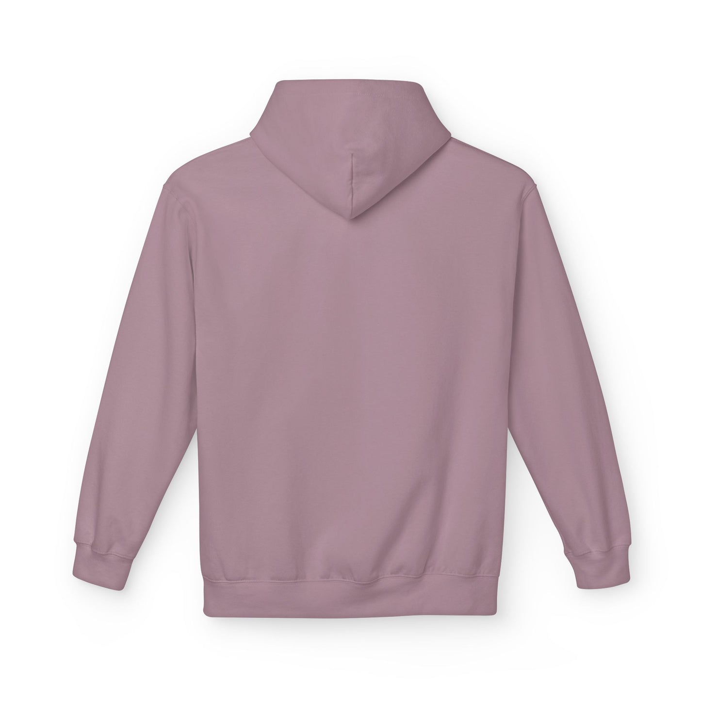 Unisex "Chase $ not hoe's" Midweight Softstyle Fleece Hoodie